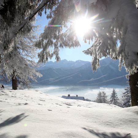 WINTER 2025
